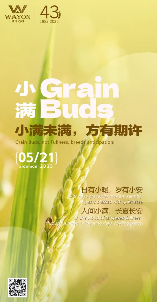 Wayon Stone Сегодня — Grain Buds. Зерна пшеницы наполняют колосья, и все постепенно расцветает.