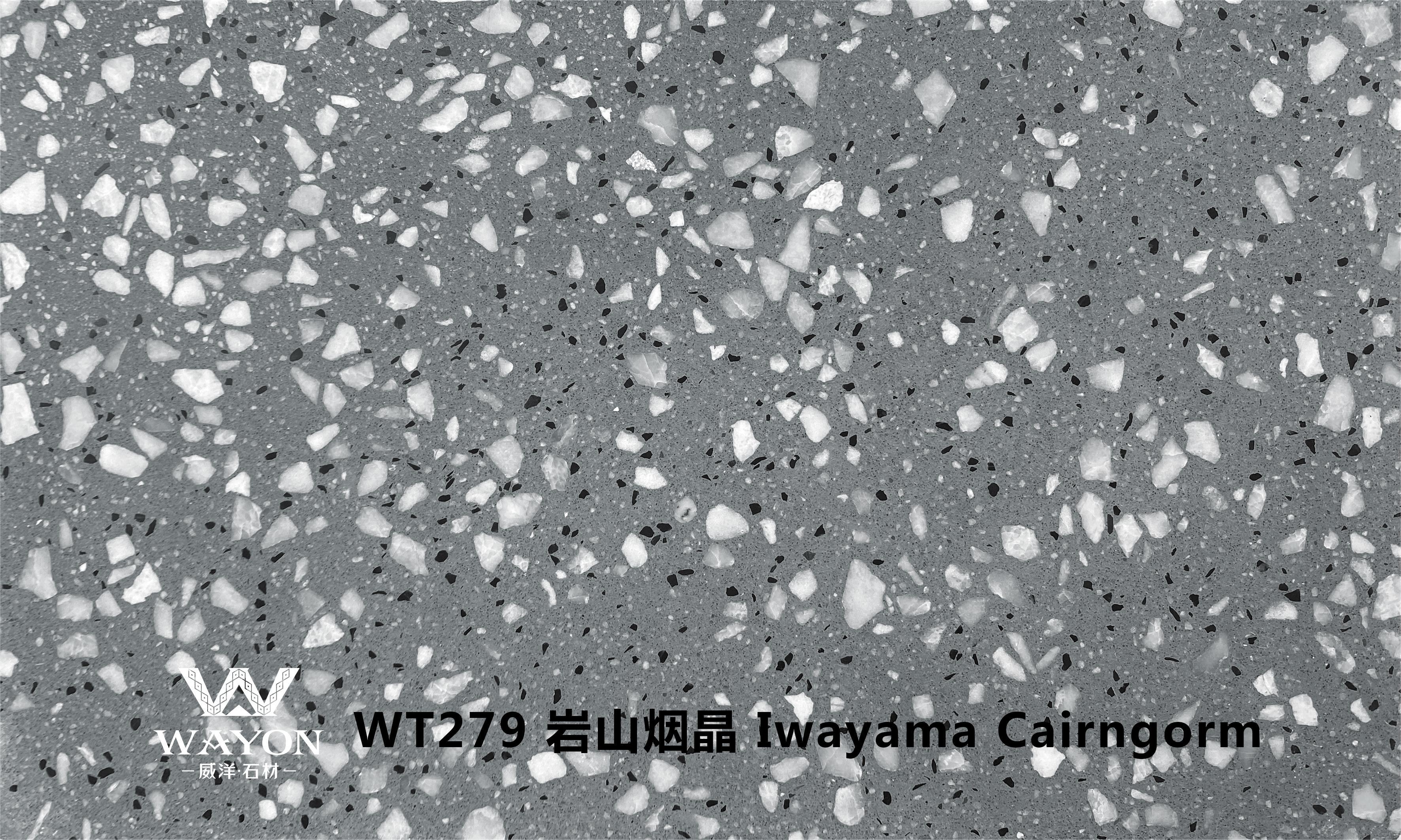 WT279 Иваяма Каирнгорм