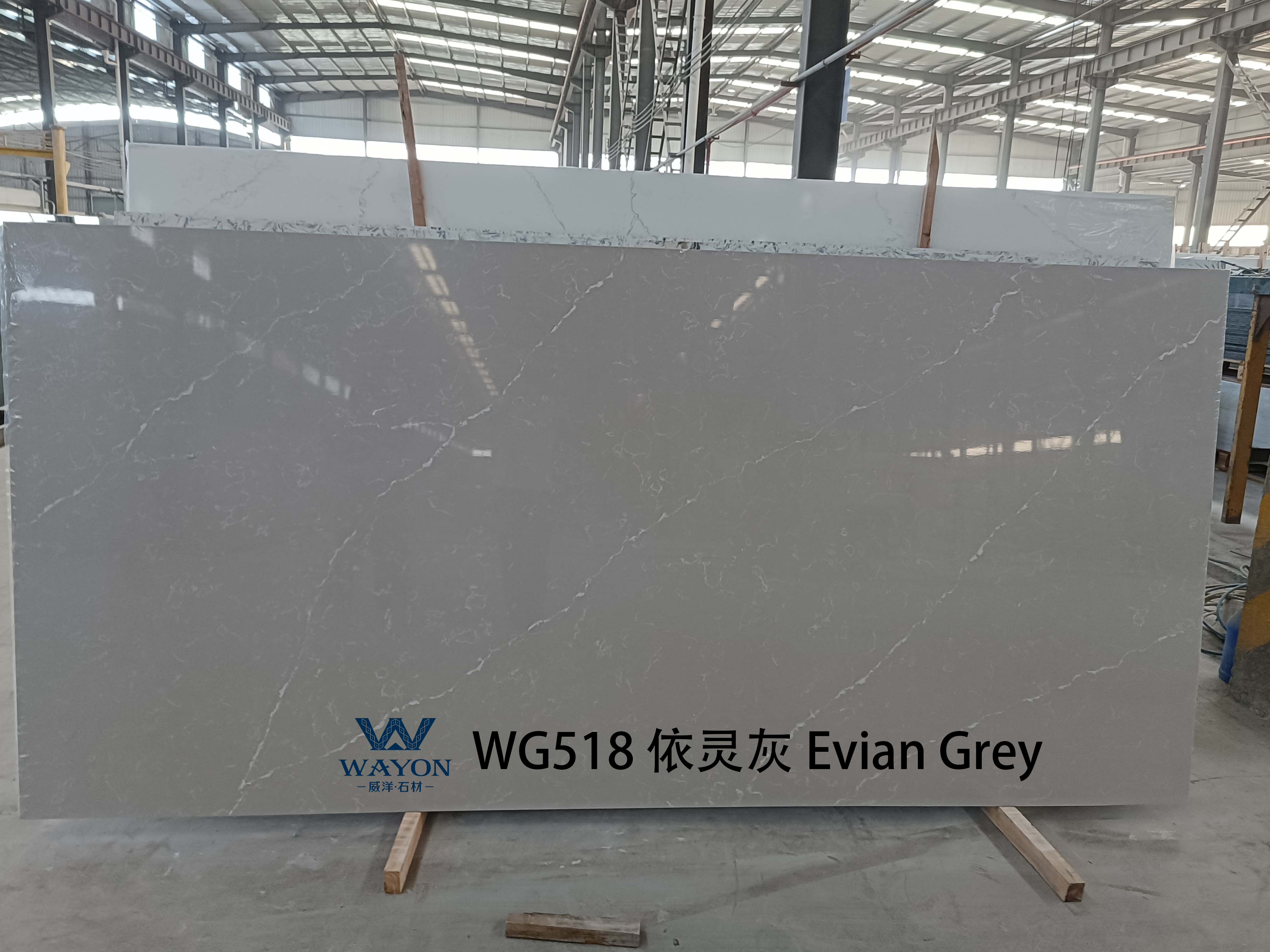 WG518 Эвиан Грей
