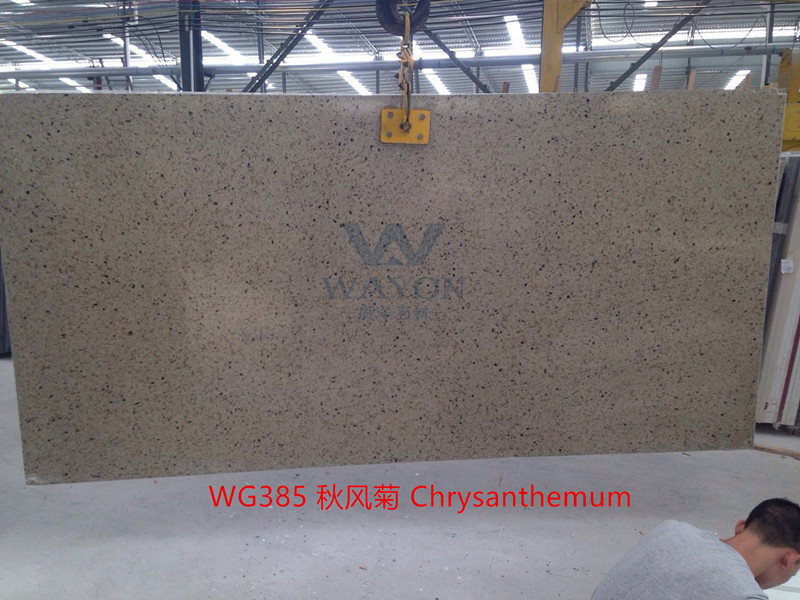 WG385 Хризантема